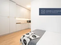 Pronájem bytu 1+kk, Brno, Francouzská, 20 m2