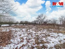 Prodej pozemku pro bydlení, Blovice - Vlčice, 2143 m2