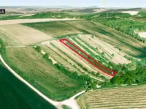 Prodej sadu/vinice, Nikolčice, 2568 m2