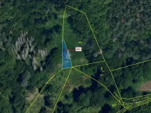 Dražba lesa, Dešov, 111 m2