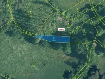 Dražba louky, Zavlekov, 272 m2