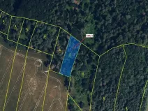 Dražba lesa, Přemyslovice, 1280 m2