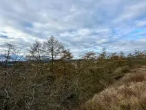 Prodej zahrady, Nové Strašecí, Sukova, 934 m2