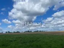 Prodej pozemku pro bydlení, Kokořín, 10009 m2