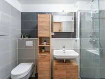 Pronájem bytu 1+kk, Olomouc, Věry Pánkové, 36 m2