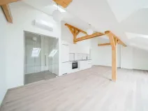 Pronájem bytu 2+kk, Praha - Nové Město, Václavské náměstí, 79 m2