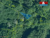 Prodej lesa, Kolinec - Buršice, 9917 m2