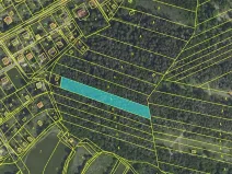 Prodej lesa, Lštění, 4810 m2