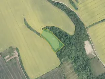 Prodej pole, Traplice, 15472 m2