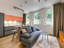 Pronájem bytu 1+kk, Praha - Vinohrady, Perucká, 26 m2