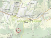 Prodej lesa, Zádveřice-Raková, 7363 m2