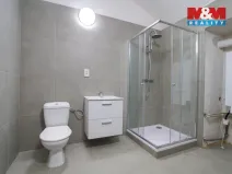 Pronájem obchodního prostoru, Šenov, K Insuli, 465 m2