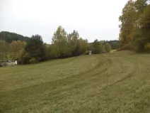 Dražba pozemku pro bydlení, Vidochov, 4068 m2