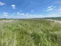 Dražba louky, Kravaře, 2873 m2