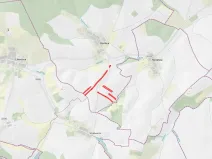 Prodej pole, Hoštice, 24927 m2