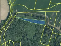 Prodej lesa, Čepřovice, 982 m2
