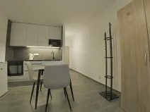 Pronájem bytu 1+kk, Dobřany, Sokolovská, 28 m2