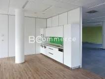 Pronájem kanceláře, Brno, 600 m2