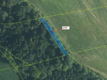 Dražba lesa, Písečná, 447 m2