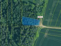 Dražba lesa, Hosty, 978 m2