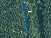 Dražba lesa, Hosty, 1258 m2