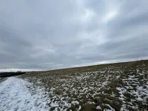 Dražba pole, Litoměřice, 8107 m2