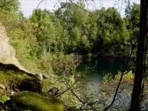 Prodej rybníku, Lipová, 80000 m2