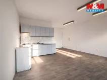 Pronájem bytu 2+kk, Opava - Město, Dolní náměstí, 94 m2