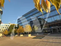 Pronájem kanceláře, Praha - Holešovice, Jankovcova, 330 m2