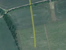 Prodej pole, Milotice, 7763 m2
