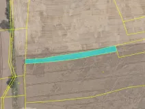 Dražba pole, Úžice, 1043 m2