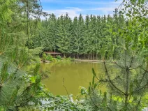 Prodej chalupy, Sudslava, 80 m2