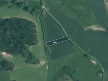 Prodej pole, Velký Bor, 11261 m2