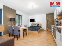 Prodej bytu 1+kk, Vrchlabí - Hořejší Vrchlabí, Horská, 44 m2