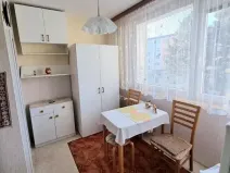 Prodej bytu 1+1, Jihlava, Březinova, 33 m2