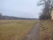 Prodej louky, Mladá Boleslav, 6926 m2