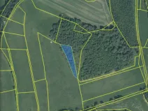 Prodej lesa, Čepřovice, 1644 m2