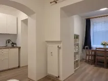 Pronájem bytu 1+kk, Brno, Francouzská, 25 m2