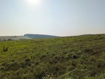 Prodej pozemku pro bydlení, Nové Lublice, 3046 m2