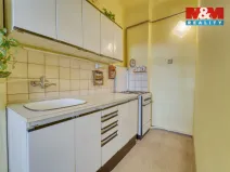 Prodej bytu 1+1, Plzeň - Doudlevce, Révová, 46 m2