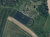 Prodej pole, Ořechov, 7754 m2