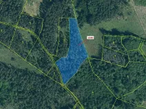 Dražba lesa, Hradiště, 6519 m2