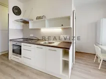 Prodej bytu 1+1, České Budějovice, K. Šafáře, 43 m2