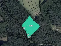 Prodej lesa, Vysoká, 12485 m2