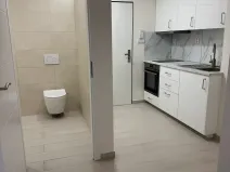 Pronájem bytu 1+kk, Praha - Vinohrady, Nad olšinami, 24 m2