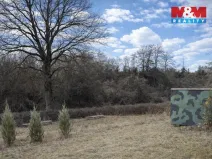 Prodej zahrady, Hoštka, 1330 m2