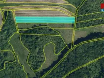 Pronájem pole, Horní Věstonice, 4000 m2