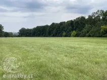 Dražba pole, Oseček, 83999 m2