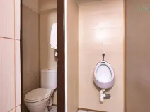 Prodej bytu 4+kk, Plzeň, Nerudova, 134 m2