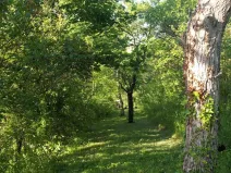 Prodej zahrady, Brno - Židenice, 1227 m2